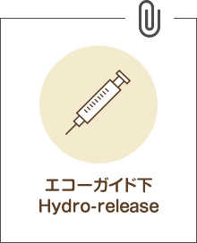 エコーガイド下 Hydro-release